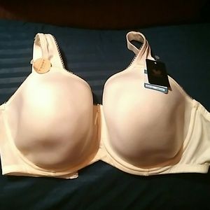 Wacoal size 38DDD  T Shirt bra